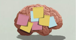 Article Image 5